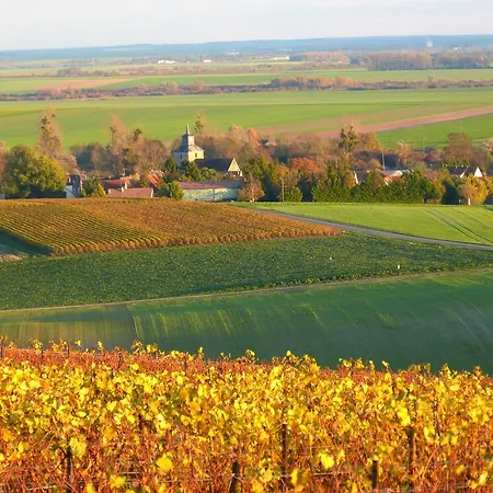 Entre Vignes Et Marais